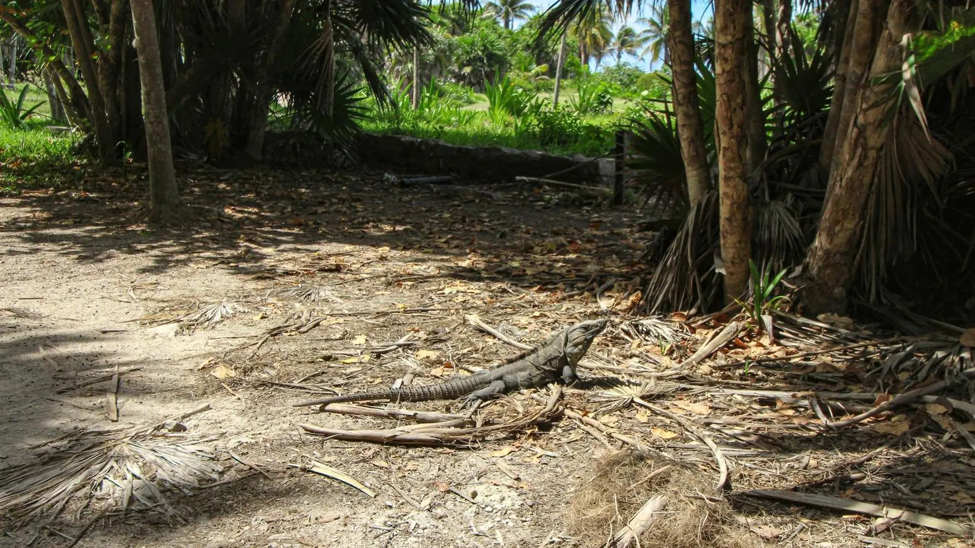 Villa Giada Towers Ph 313A Tulum Ferienhaus